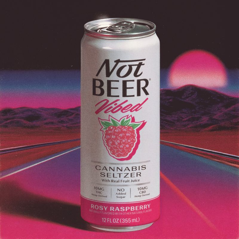 Outdoor picnic scene with Vibed cans