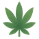 Highest-Quality Hemp